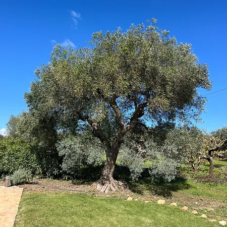 Semesterbostad Trullo Gemelli Castellana Grotte