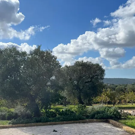 Trullo Gemelli Castellana Grotte